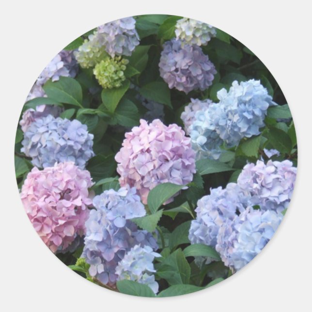 Adesivo Blue Hydrangea (Frente)