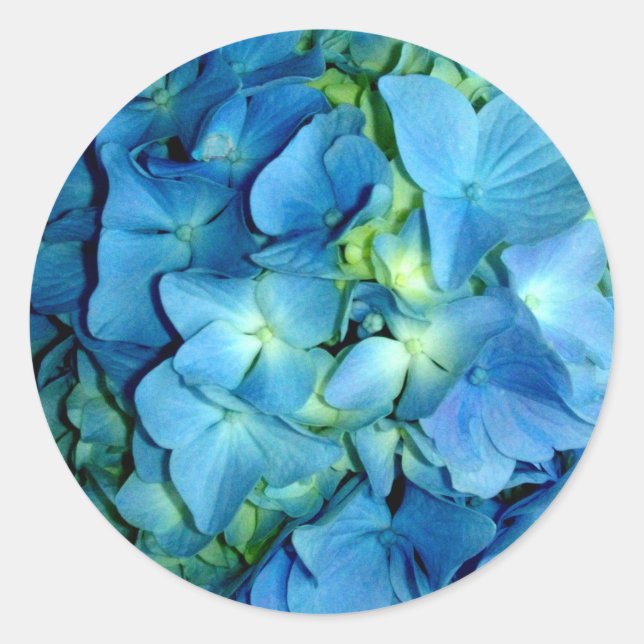 Adesivo Blue Hydrangea (Frente)