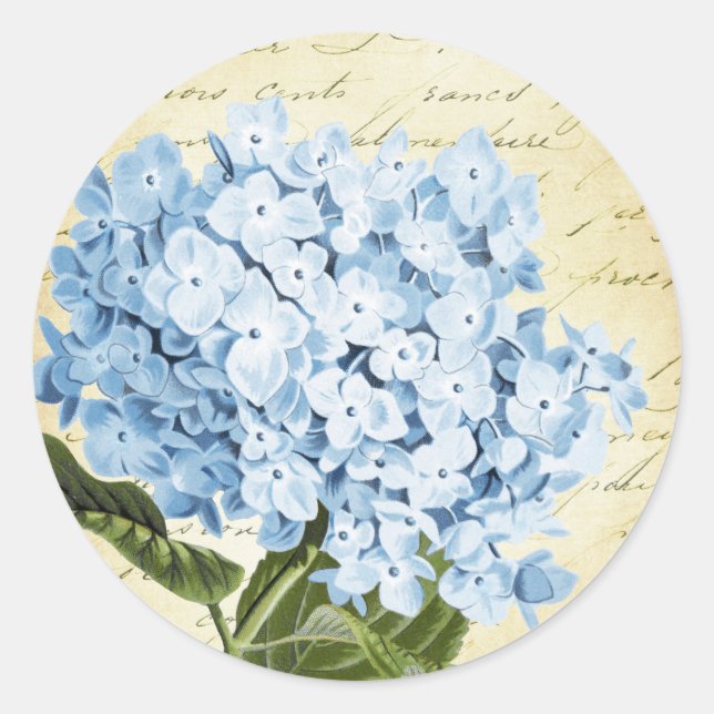 Adesivo Blue Hydrangea Flower Vintage Botânica (Frente)