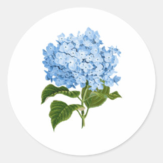 Adesivo Blue Hydrangea Grandmillennial