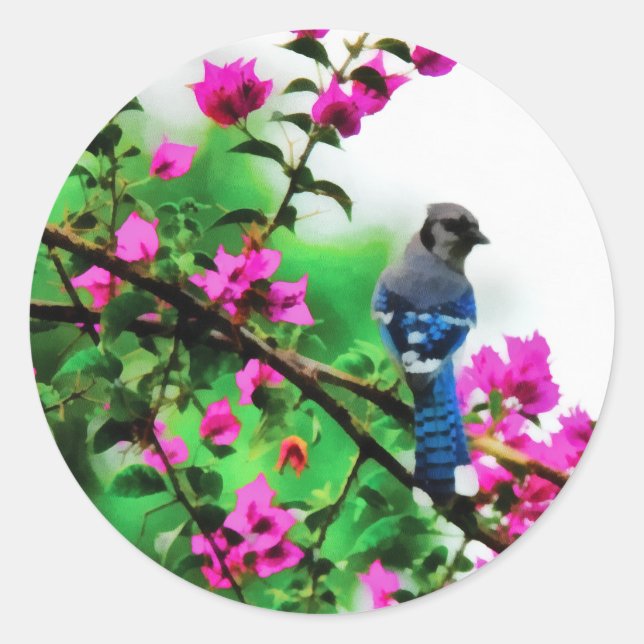 Adesivo Blue Jay (Frente)