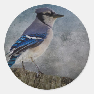 Adesivo Blue Jay