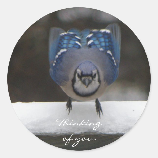 Adesivo Blue Jay: Pensando Em Você, Sticker (Frente)