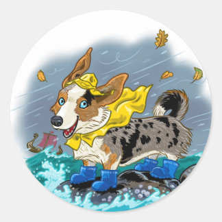 Adesivo blue merle, sem texto