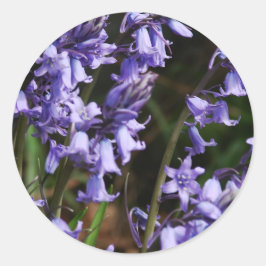 Adesivo Bluebeldes Flores Natureza Floral Azul Flor Roxo