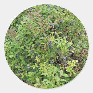 Adesivo Blueberry Bush