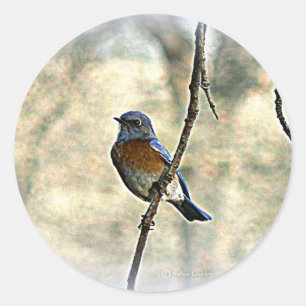 Adesivo Bluebird da felicidade