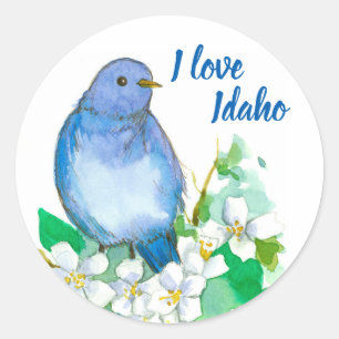 Adesivo Bluebird da montanha eu amo Idaho