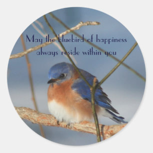 Adesivo Bluebird Of Felicidade Inspirational Sticker