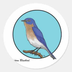 ADESIVO BLUEBIRD ORIENTAL