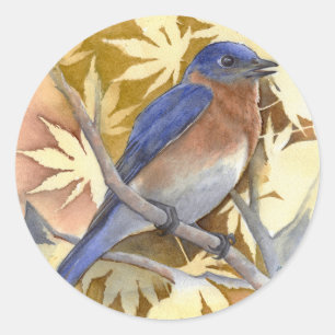 Adesivo Bluebird Sticker