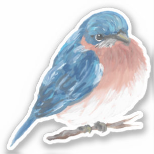 Adesivo Bluebird Vinyl Sticker