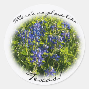 Adesivo Bluebonnet "Não há lugar como Texas" Sticker
