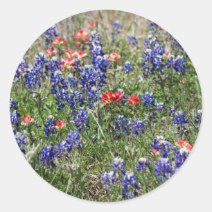 Adesivo Bluebonnets de Texas & Wildflowers do pincel