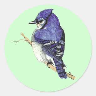 Adesivo Bluejay Sticker