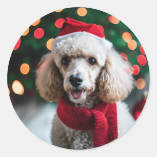 Adesivo Boas Papais noeis Foto do Natal do Pet Poodle