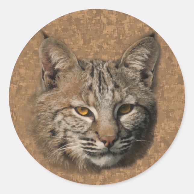 Adesivo Bobcat Sticker (Frente)