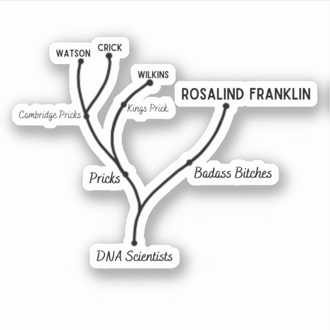 Adesivo Bobo Cladograma Vinheta-Vinho De Corte Personaliza (Frente)