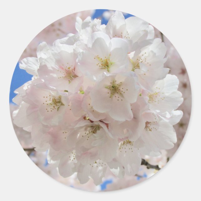 Adesivo Bolas de Flor Rosa. (Frente)