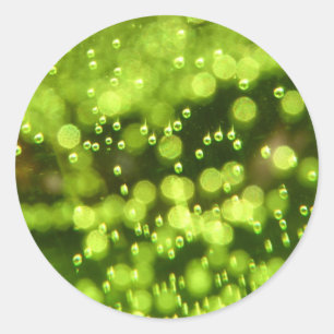 Adesivo Bolhas Verdes