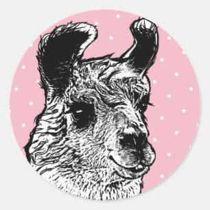 Adesivo Bolinhas pretas & brancas na moda do branco do