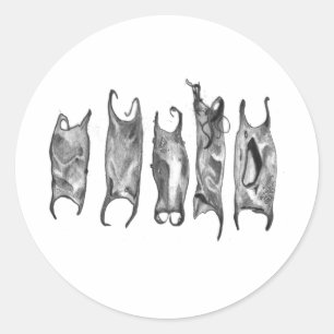 Adesivo bolsas do diabo por stanthos