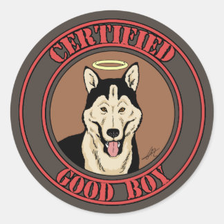 Adesivo Bom Menino Certificado