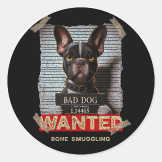 Adesivo Bone Smuggling Bad Dog: The Boston Terrier's Mugsh