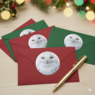 Adesivo Bonita, Dreamy e Serene Snowy Owl