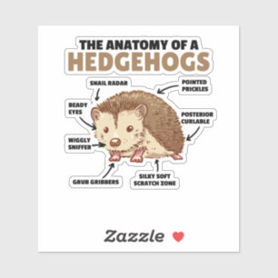 Adesivo Bonita Explicação De Hedgehog Anatomia De Hedgeh