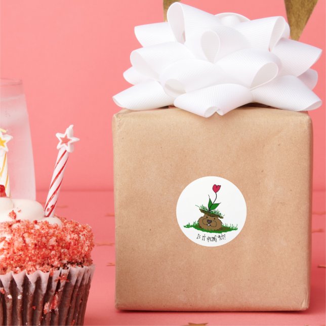 Adesivo Bonita Groundhog à procura de Primavera (Festa)