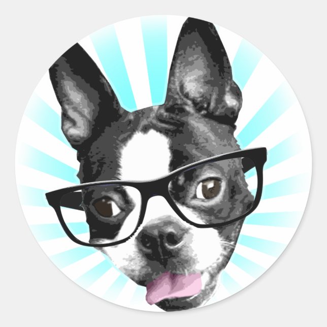 Adesivo Bonita! Hipster Boston Terrier (Frente)