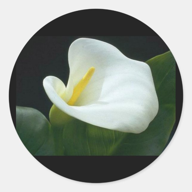 ADESIVO BONITA LETRA LIVRE/PRESENTE ROUND STICKER (Frente)