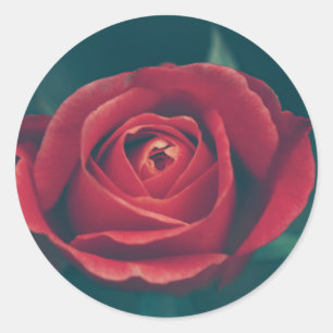 Adesivo Bonita Rosa vermelha de Casamento de Flor Vestido