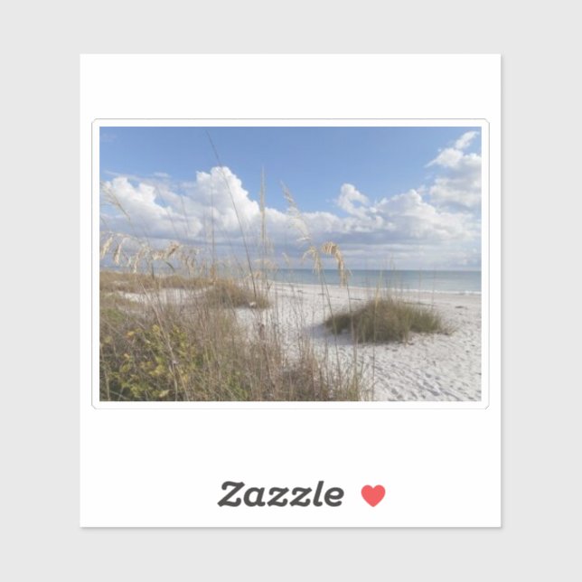 Adesivo Bonita springs, florida (Folha)