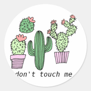 Adesivo Bonito Cactus Stickers