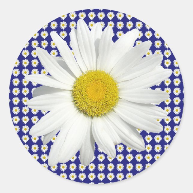 Adesivo Bonito Daisy Stickers (Frente)
