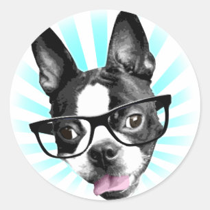 Adesivo Bonito! Hipster Boston Terrier