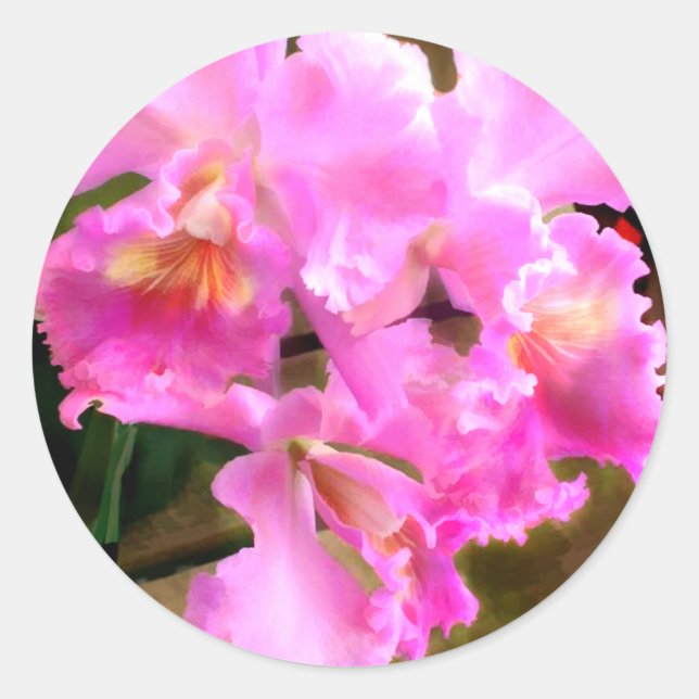 Adesivo Bonito nas Orquídeas de Cattleya Rosa (Frente)