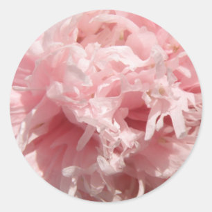 Adesivo Bonito Pink-Pope-Stickers