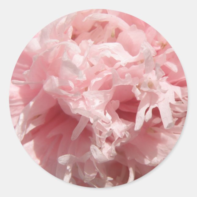 Adesivo Bonito Pink-Pope-Stickers (Frente)