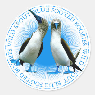 Adesivo Boobies azulados