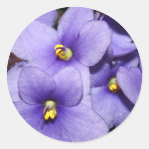 Adesivo Boquet violeta