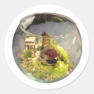 Adesivo borb planetarium