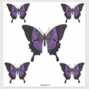 Adesivo Borboleta