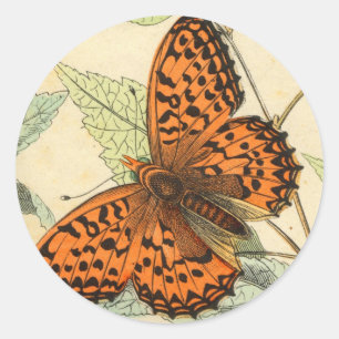 Adesivo Borboleta