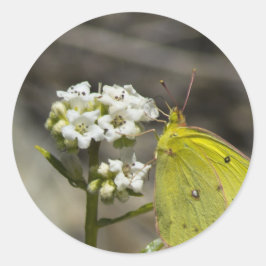 Adesivo Borboleta Amarela