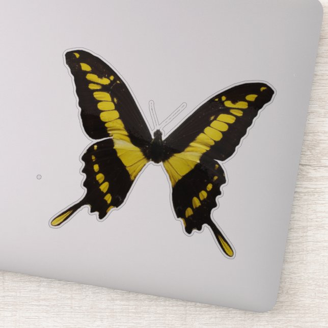 Adesivo Borboleta Amarela (Detalhe)