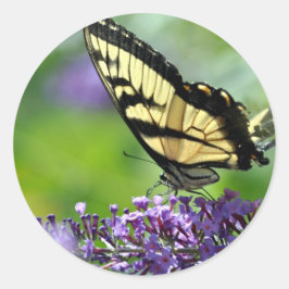 Adesivo Borboleta amarela e preta na Lavanda