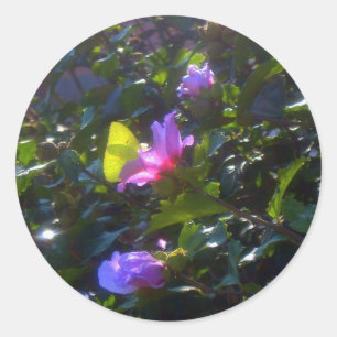 Adesivo Borboleta Amarela em Rosa Rosa Rosa Rosa de Sharon